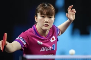 的巨大成功 的巨大成功